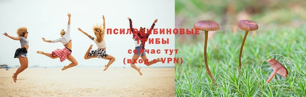 MESCALINE Саяногорск