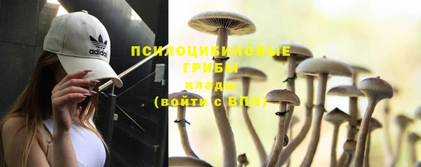 ALPHA PVP Белокуриха