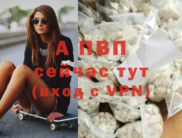 стафф Беломорск