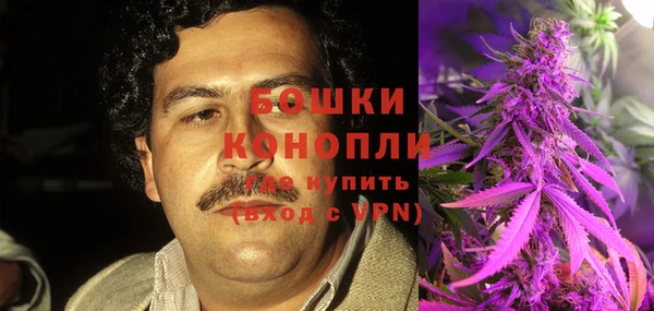 ALPHA PVP Белокуриха