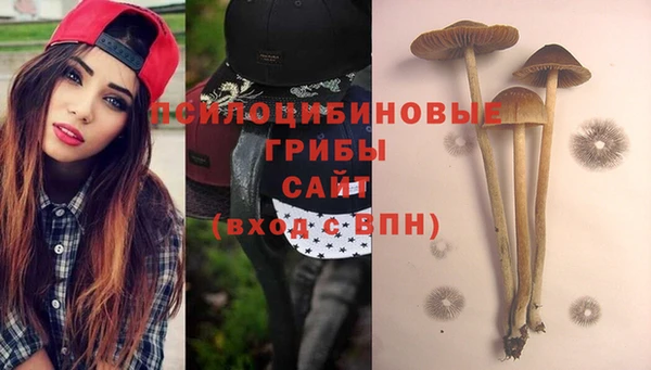 стафф Беломорск